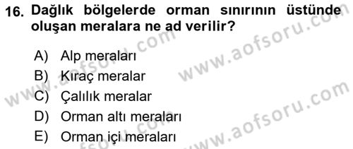 Tarla Bitkileri 2 Dersi 2018 - 2019 Yılı (Final) Dönem Sonu Sınav Soruları 16. Soru