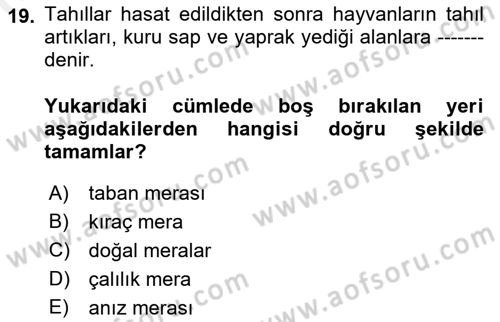 Tarla Bitkileri 2 Dersi 2018 - 2019 Yılı (Final) Dönem Sonu Sınav Soruları 19. Soru