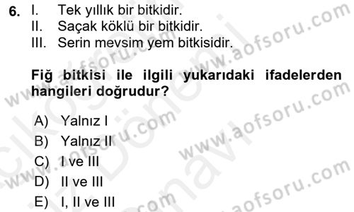 Tarla Bitkileri 2 Dersi 2018 - 2019 Yılı (Final) Dönem Sonu Sınav Soruları 6. Soru