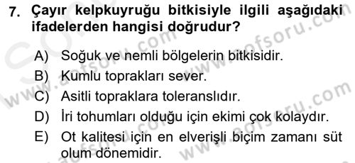 Tarla Bitkileri 2 Dersi 2018 - 2019 Yılı (Final) Dönem Sonu Sınav Soruları 7. Soru