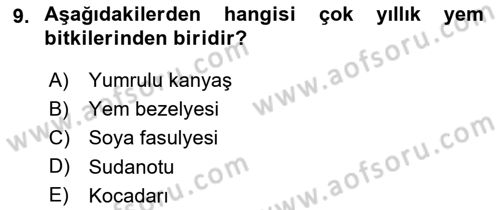 Tarla Bitkileri 2 Dersi 2018 - 2019 Yılı (Final) Dönem Sonu Sınav Soruları 9. Soru