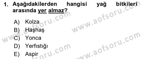 Tarla Bitkileri 2 Dersi 2018 - 2019 Yılı Yaz Okulu Sınav Soruları 1. Soru