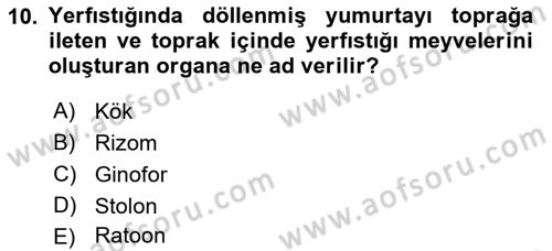 Tarla Bitkileri 2 Dersi 2018 - 2019 Yılı Yaz Okulu Sınav Soruları 10. Soru