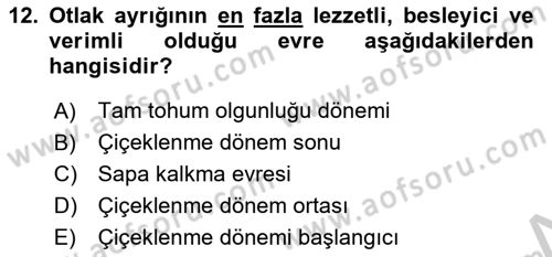 Tarla Bitkileri 2 Dersi 2018 - 2019 Yılı Yaz Okulu Sınav Soruları 12. Soru