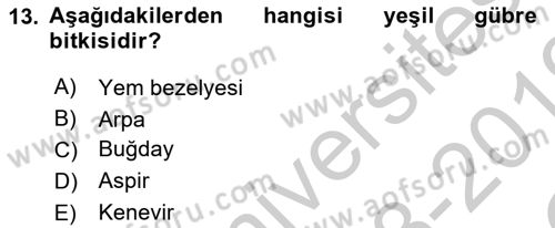 Tarla Bitkileri 2 Dersi 2018 - 2019 Yılı Yaz Okulu Sınav Soruları 13. Soru