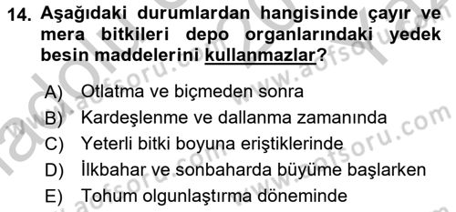 Tarla Bitkileri 2 Dersi 2018 - 2019 Yılı Yaz Okulu Sınav Soruları 14. Soru