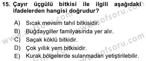 Tarla Bitkileri 2 Dersi 2018 - 2019 Yılı Yaz Okulu Sınav Soruları 15. Soru