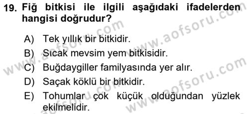 Tarla Bitkileri 2 Dersi 2018 - 2019 Yılı Yaz Okulu Sınav Soruları 19. Soru