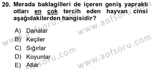 Tarla Bitkileri 2 Dersi 2018 - 2019 Yılı Yaz Okulu Sınav Soruları 20. Soru