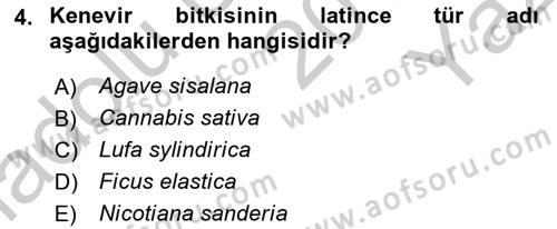 Tarla Bitkileri 2 Dersi 2018 - 2019 Yılı Yaz Okulu Sınav Soruları 4. Soru