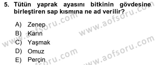 Tarla Bitkileri 2 Dersi 2018 - 2019 Yılı Yaz Okulu Sınav Soruları 5. Soru
