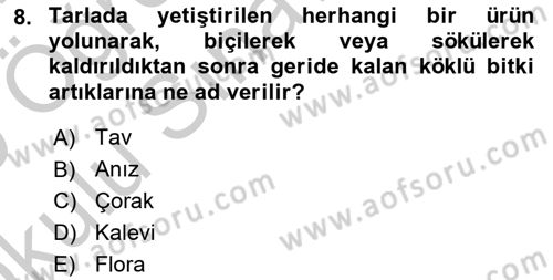Tarla Bitkileri 2 Dersi 2018 - 2019 Yılı Yaz Okulu Sınav Soruları 8. Soru