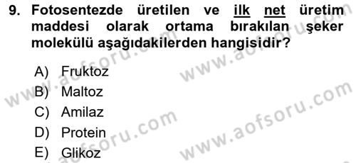 Tarla Bitkileri 2 Dersi 2018 - 2019 Yılı Yaz Okulu Sınav Soruları 9. Soru