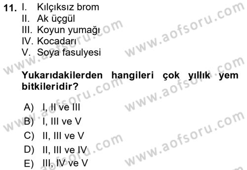 Tarla Bitkileri 2 Dersi 2020 - 2021 Yılı Yaz Okulu Sınav Soruları 11. Soru