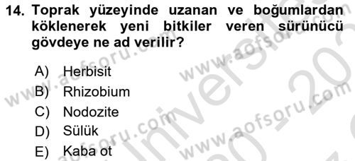 Tarla Bitkileri 2 Dersi 2020 - 2021 Yılı Yaz Okulu Sınav Soruları 14. Soru
