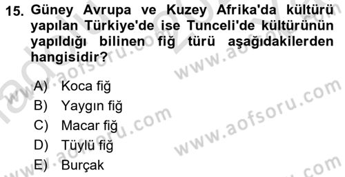 Tarla Bitkileri 2 Dersi 2020 - 2021 Yılı Yaz Okulu Sınav Soruları 15. Soru