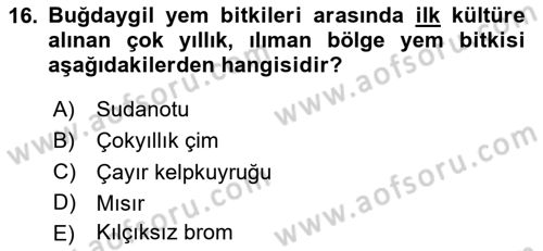 Tarla Bitkileri 2 Dersi 2020 - 2021 Yılı Yaz Okulu Sınav Soruları 16. Soru