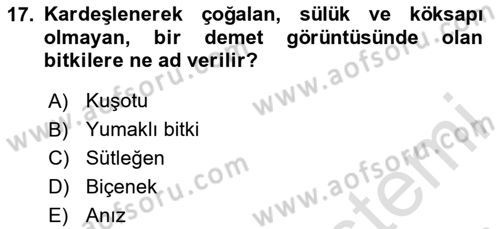 Tarla Bitkileri 2 Dersi 2020 - 2021 Yılı Yaz Okulu Sınav Soruları 17. Soru