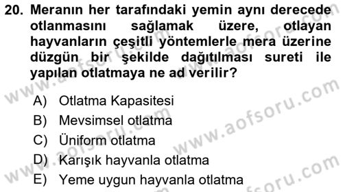 Tarla Bitkileri 2 Dersi 2020 - 2021 Yılı Yaz Okulu Sınav Soruları 20. Soru