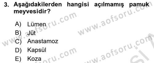 Tarla Bitkileri 2 Dersi 2020 - 2021 Yılı Yaz Okulu Sınav Soruları 3. Soru