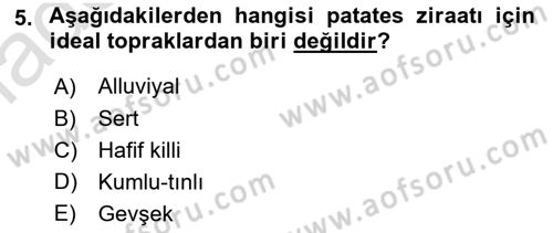 Tarla Bitkileri 2 Dersi 2020 - 2021 Yılı Yaz Okulu Sınav Soruları 5. Soru