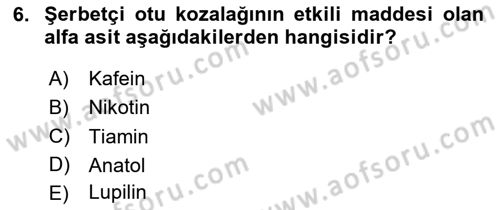 Tarla Bitkileri 2 Dersi 2020 - 2021 Yılı Yaz Okulu Sınav Soruları 6. Soru