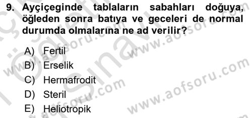 Tarla Bitkileri 2 Dersi 2020 - 2021 Yılı Yaz Okulu Sınav Soruları 9. Soru