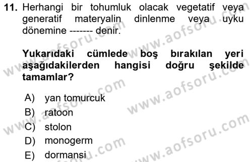 Tarla Bitkileri 2 Dersi 2021 - 2022 Yılı (Vize) Ara Sınav Soruları 11. Soru