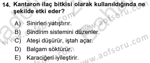 Tarla Bitkileri 2 Dersi 2021 - 2022 Yılı (Vize) Ara Sınav Soruları 14. Soru