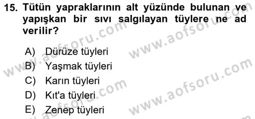 Tarla Bitkileri 2 Dersi 2021 - 2022 Yılı (Vize) Ara Sınav Soruları 15. Soru