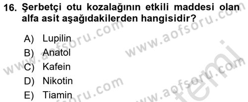 Tarla Bitkileri 2 Dersi 2021 - 2022 Yılı (Vize) Ara Sınav Soruları 16. Soru