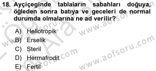 Tarla Bitkileri 2 Dersi 2021 - 2022 Yılı (Vize) Ara Sınav Soruları 18. Soru