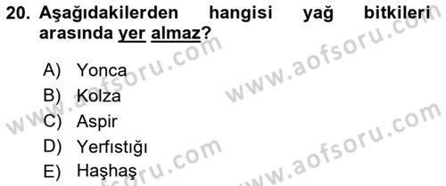 Tarla Bitkileri 2 Dersi 2021 - 2022 Yılı (Vize) Ara Sınav Soruları 20. Soru