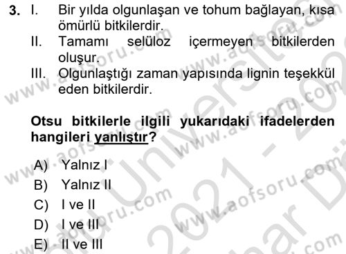 Tarla Bitkileri 2 Dersi 2021 - 2022 Yılı (Vize) Ara Sınav Soruları 3. Soru