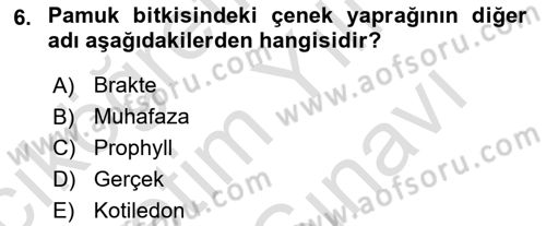Tarla Bitkileri 2 Dersi 2021 - 2022 Yılı (Vize) Ara Sınav Soruları 6. Soru