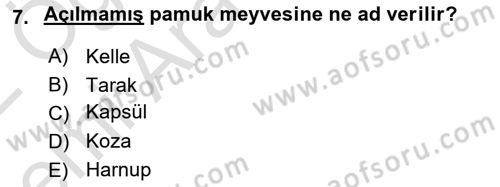 Tarla Bitkileri 2 Dersi 2021 - 2022 Yılı (Vize) Ara Sınav Soruları 7. Soru