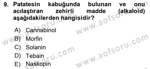 Tarla Bitkileri 2 Dersi 2021 - 2022 Yılı (Vize) Ara Sınav Soruları 9. Soru