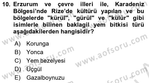 Tarla Bitkileri 2 Dersi 2021 - 2022 Yılı (Final) Dönem Sonu Sınav Soruları 10. Soru
