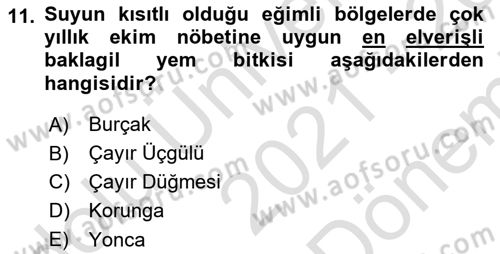 Tarla Bitkileri 2 Dersi 2021 - 2022 Yılı (Final) Dönem Sonu Sınav Soruları 11. Soru