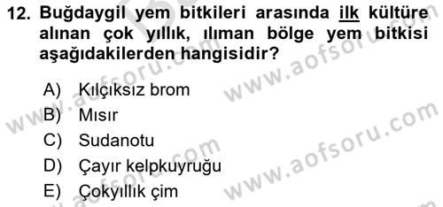 Tarla Bitkileri 2 Dersi 2021 - 2022 Yılı (Final) Dönem Sonu Sınav Soruları 12. Soru