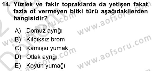 Tarla Bitkileri 2 Dersi 2021 - 2022 Yılı (Final) Dönem Sonu Sınav Soruları 14. Soru