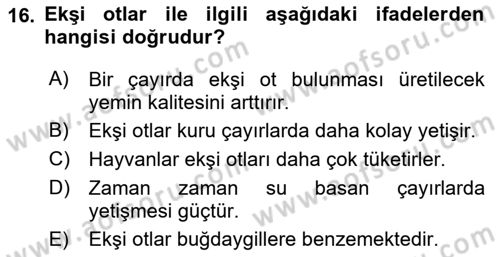 Tarla Bitkileri 2 Dersi 2021 - 2022 Yılı (Final) Dönem Sonu Sınav Soruları 16. Soru