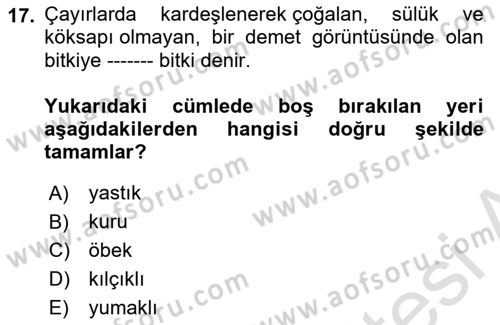 Tarla Bitkileri 2 Dersi 2021 - 2022 Yılı (Final) Dönem Sonu Sınav Soruları 17. Soru