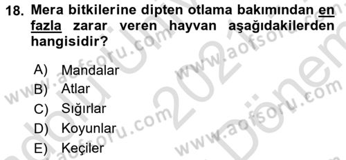 Tarla Bitkileri 2 Dersi 2021 - 2022 Yılı (Final) Dönem Sonu Sınav Soruları 18. Soru