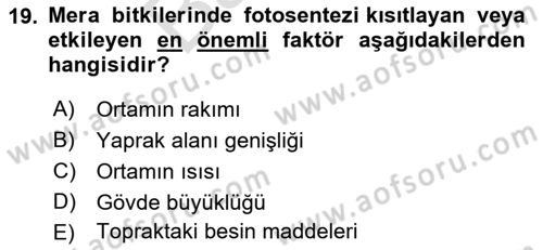 Tarla Bitkileri 2 Dersi 2021 - 2022 Yılı (Final) Dönem Sonu Sınav Soruları 19. Soru