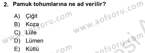 Tarla Bitkileri 2 Dersi 2021 - 2022 Yılı (Final) Dönem Sonu Sınav Soruları 2. Soru