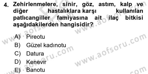 Tarla Bitkileri 2 Dersi 2021 - 2022 Yılı (Final) Dönem Sonu Sınav Soruları 4. Soru