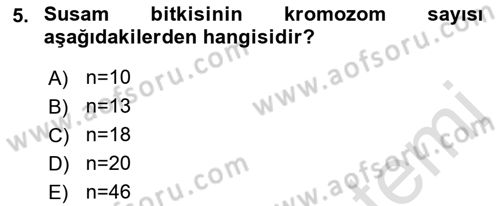 Tarla Bitkileri 2 Dersi 2021 - 2022 Yılı (Final) Dönem Sonu Sınav Soruları 5. Soru