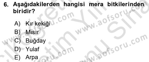 Tarla Bitkileri 2 Dersi 2021 - 2022 Yılı (Final) Dönem Sonu Sınav Soruları 6. Soru