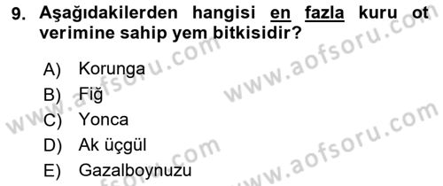 Tarla Bitkileri 2 Dersi 2021 - 2022 Yılı (Final) Dönem Sonu Sınav Soruları 9. Soru